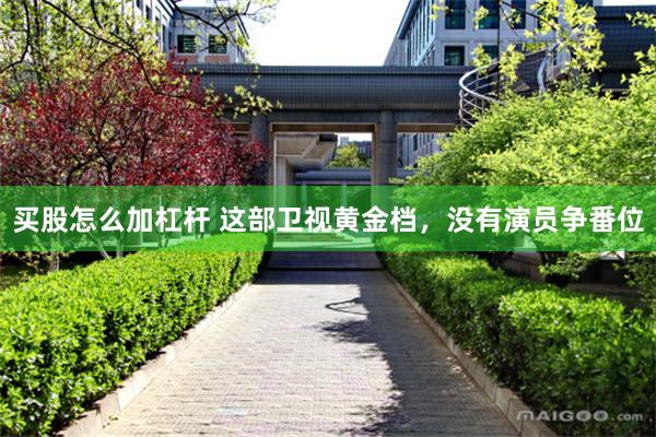 买股怎么加杠杆 这部卫视黄金档，没有演员争番位