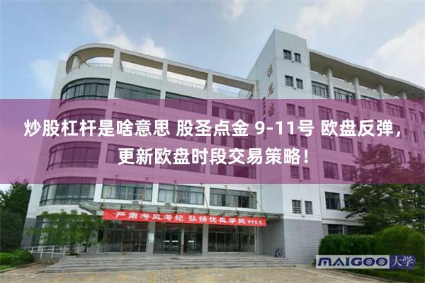 炒股杠杆是啥意思 股圣点金 9-11号 欧盘反弹，更新欧盘时段交易策略！
