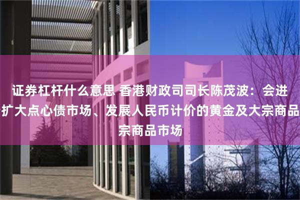 证券杠杆什么意思 香港财政司司长陈茂波：会进一步扩大点心债市场、发展人民币计价的黄金及大宗商品市场
