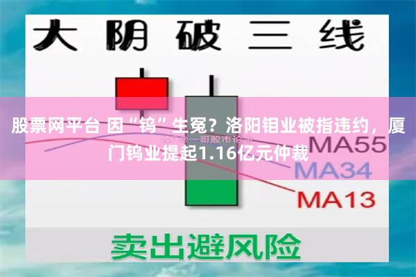 股票网平台 因“钨”生冤?洛阳钼业被指违约,厦门钨业提起1.16亿元仲裁