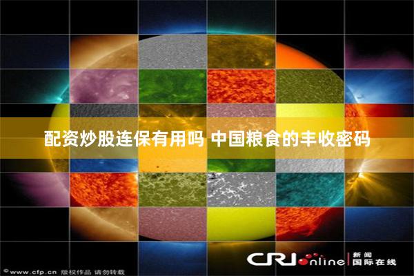 配资炒股连保有用吗 中国粮食的丰收密码
