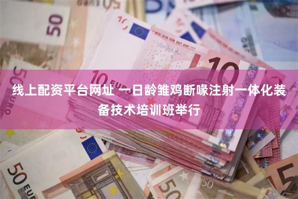 线上配资平台网址 一日龄雏鸡断喙注射一体化装备技术培训班举行