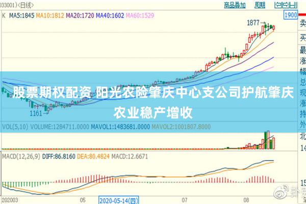 股票期权配资 阳光农险肇庆中心支公司护航肇庆农业稳产增收