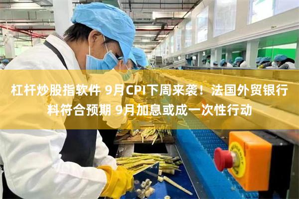杠杆炒股指软件 9月CPI下周来袭！法国外贸银行料符合预期 9月加息或成一次性行动
